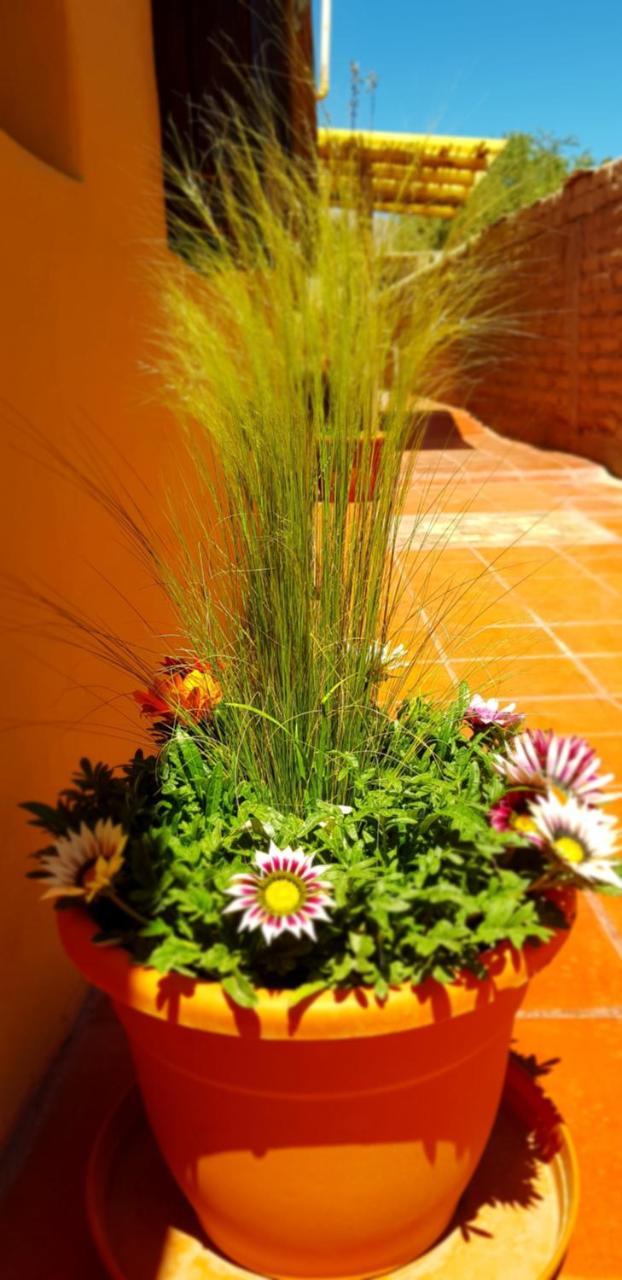 Asqui Pacha Guest house *