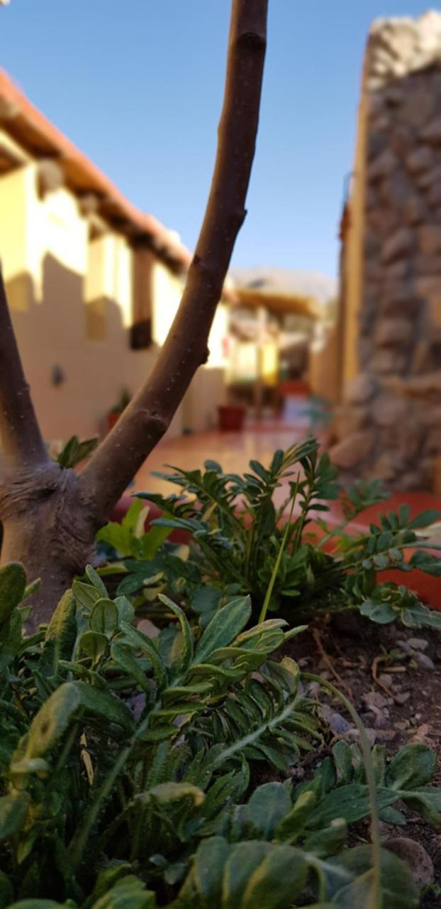 Asqui Pacha Guest house